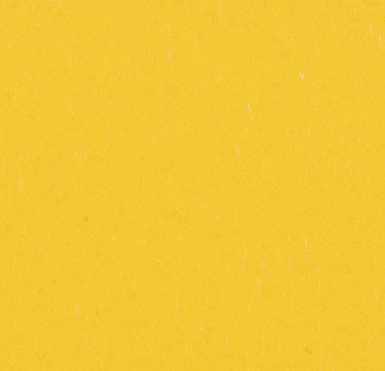 Линолеум Forbo Marmoleum Solid Piano 3648/364835 sunray