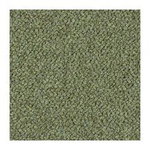 Ковровая плитка Tessera Chroma 3613 pasture